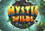 Mystic Wilds
